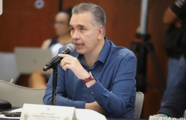 “RACISMO Y DISCRIMINACIÓN DAÑAN EN EL TEJIDO SOCIAL” ASEGURA WALDO FERNÁNDEZ Las Comisiones Unidas de Puntos Constitucionales y de Estudios Legislativos aprobaron por unanimidad la Reforma de Pueblos Indígena y Afrome